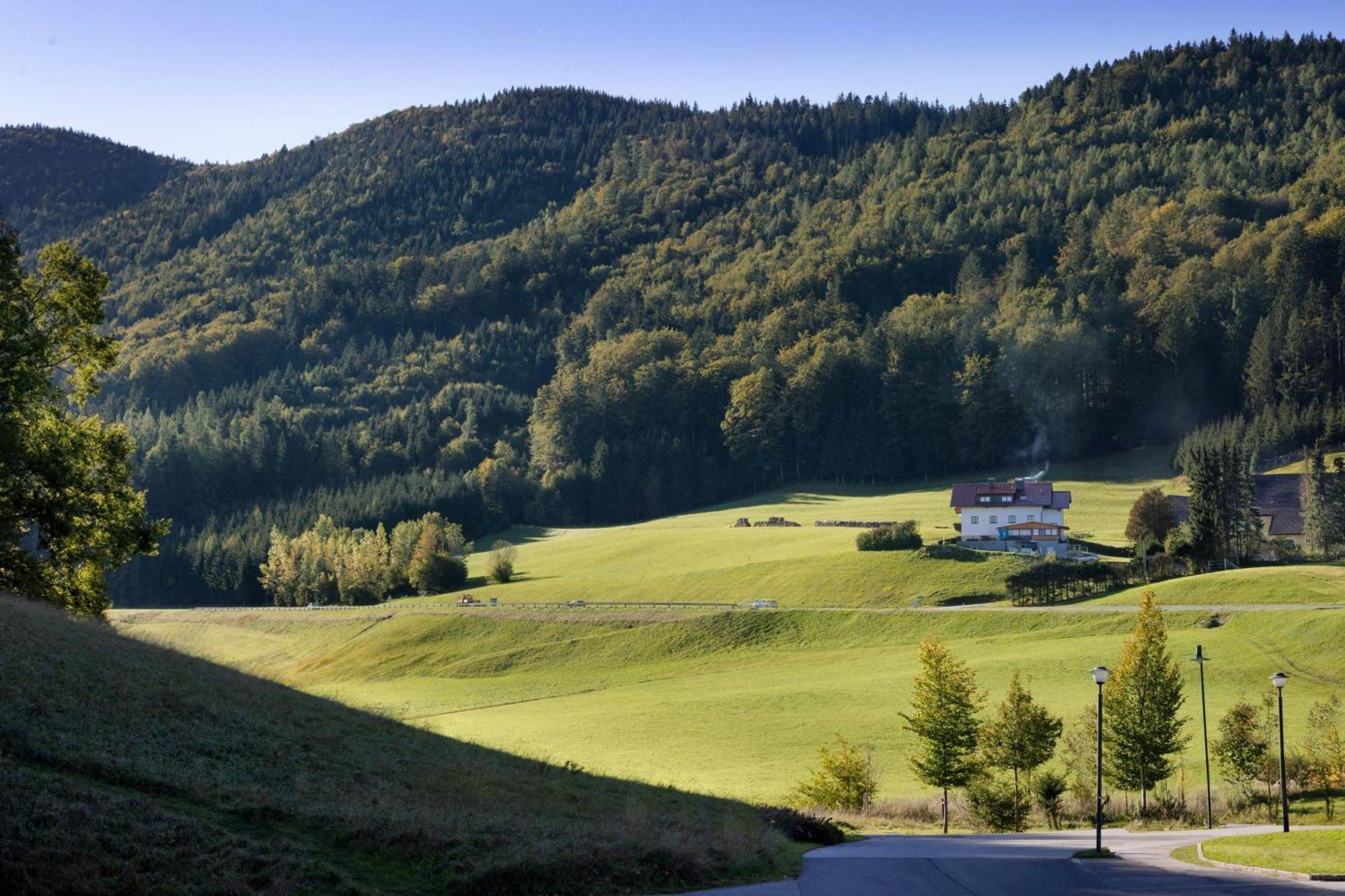 Arabella Jagdhof Resort Am Fuschlsee, A Tribute Portfolio Hotel Hof bei Salzburg Exterior photo